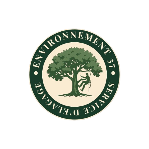 Logo Environnement 37